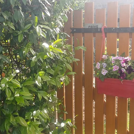 Nyaraló 325 Route Du Fourou Yzosse