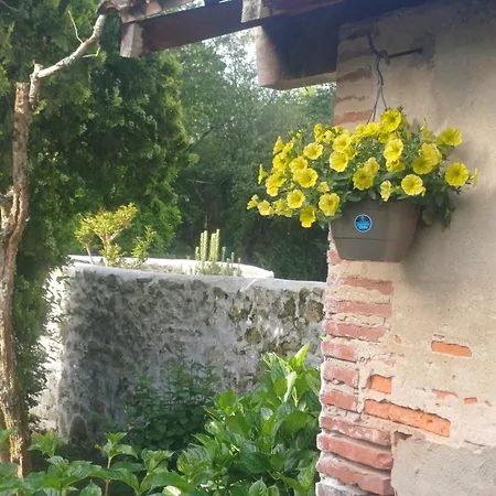 325 Route Du Fourou Yzosse