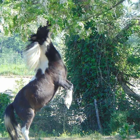325 Route Du Fourou Nyaraló Yzosse