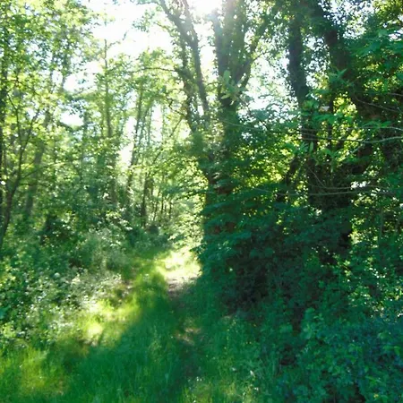 325 Route Du Fourou Yzosse