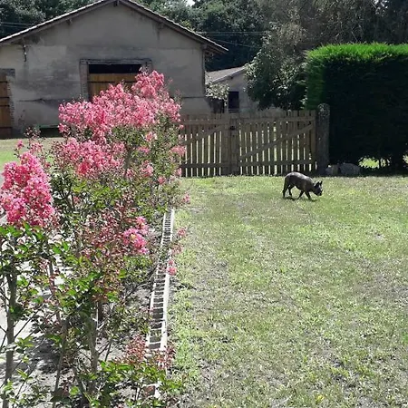 325 Route Du Fourou Holiday home Yzosse