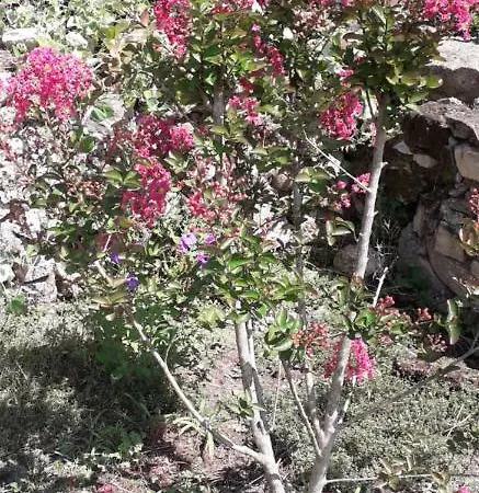 Nyaraló 325 Route Du Fourou *