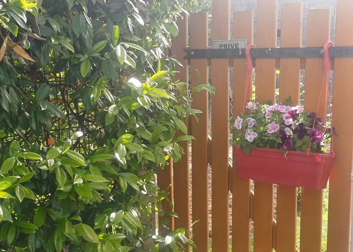 Casa de Férias 325 Route Du Fourou Yzosse