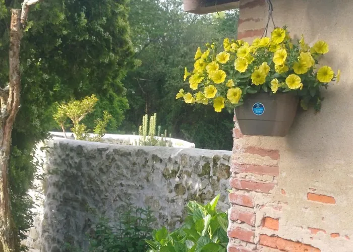 325 Route Du Fourou Yzosse