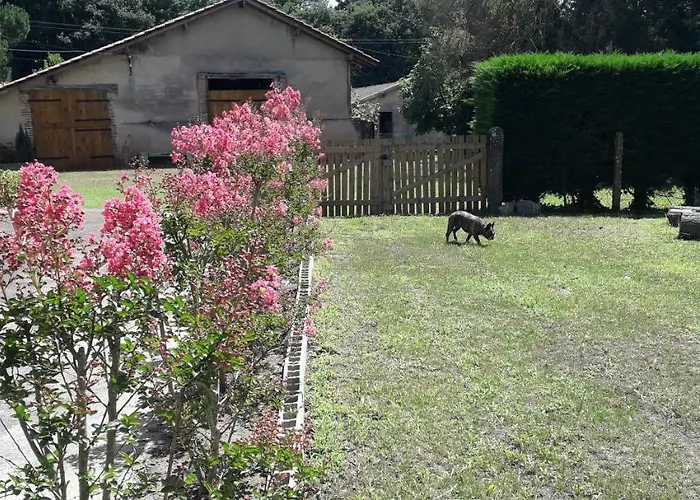 325 Route Du Fourou Casa de Férias Yzosse