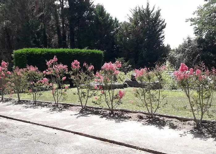 Casa de Férias 325 Route Du Fourou Yzosse