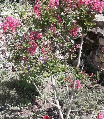 Casa de Férias 325 Route Du Fourou *